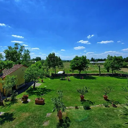 Il Gelso Di Mario Apartamento Cortona
