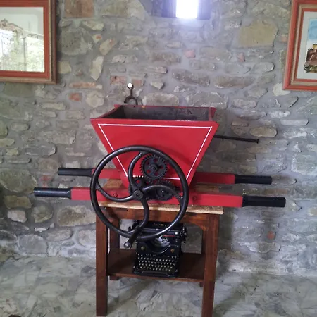 Il Gelso Di Mario * Cortona