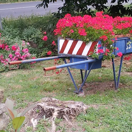 Il Gelso Di Mario *