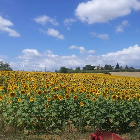 Apartamento Il Gelso Di Mario *