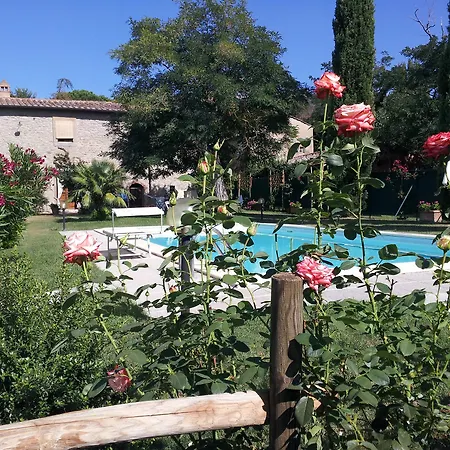 Il Gelso Di Mario Apartment