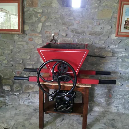 Il Gelso Di Mario * Cortona