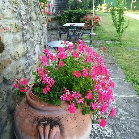 Il Gelso Di Mario Apartment Cortona